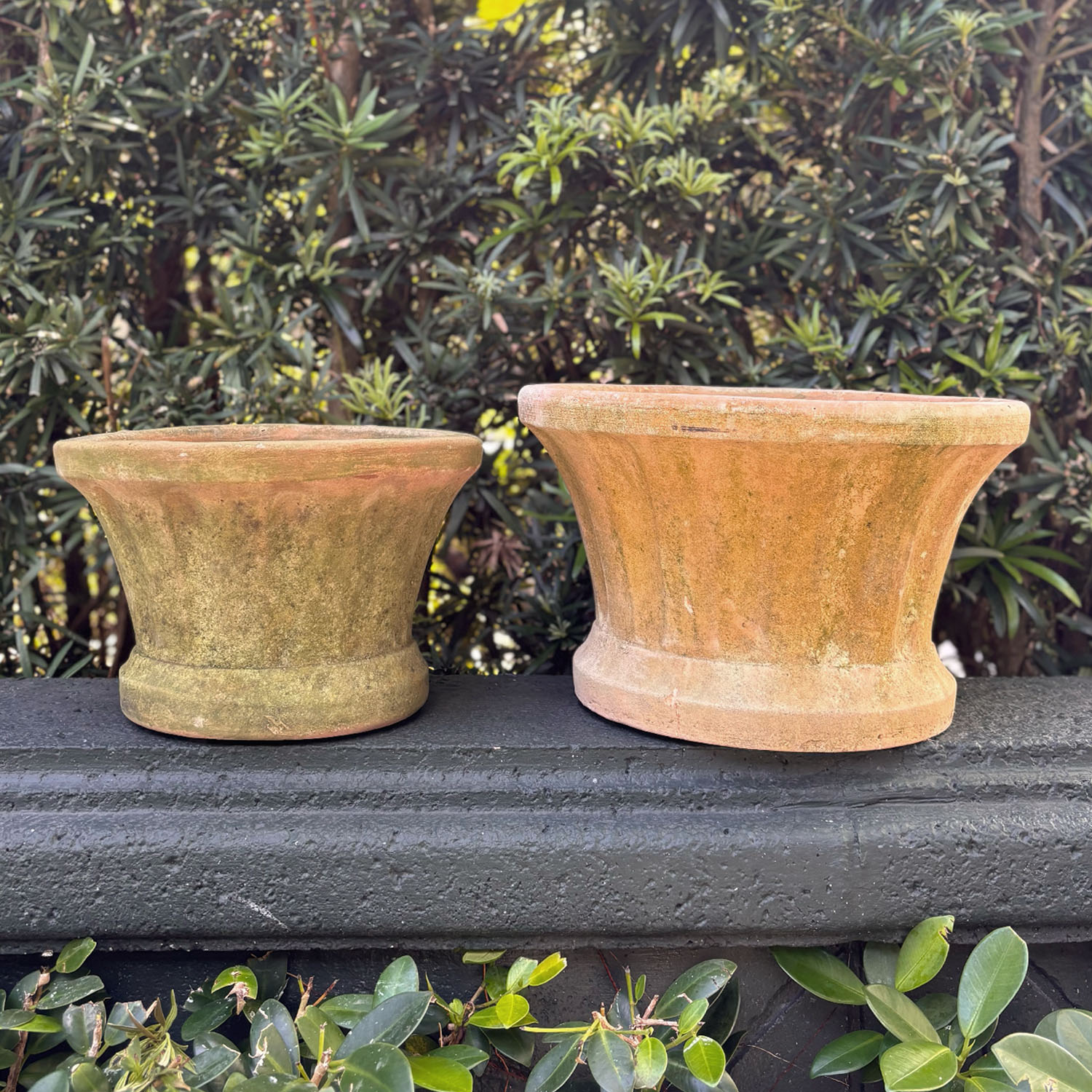 Aged Terracotta Planters