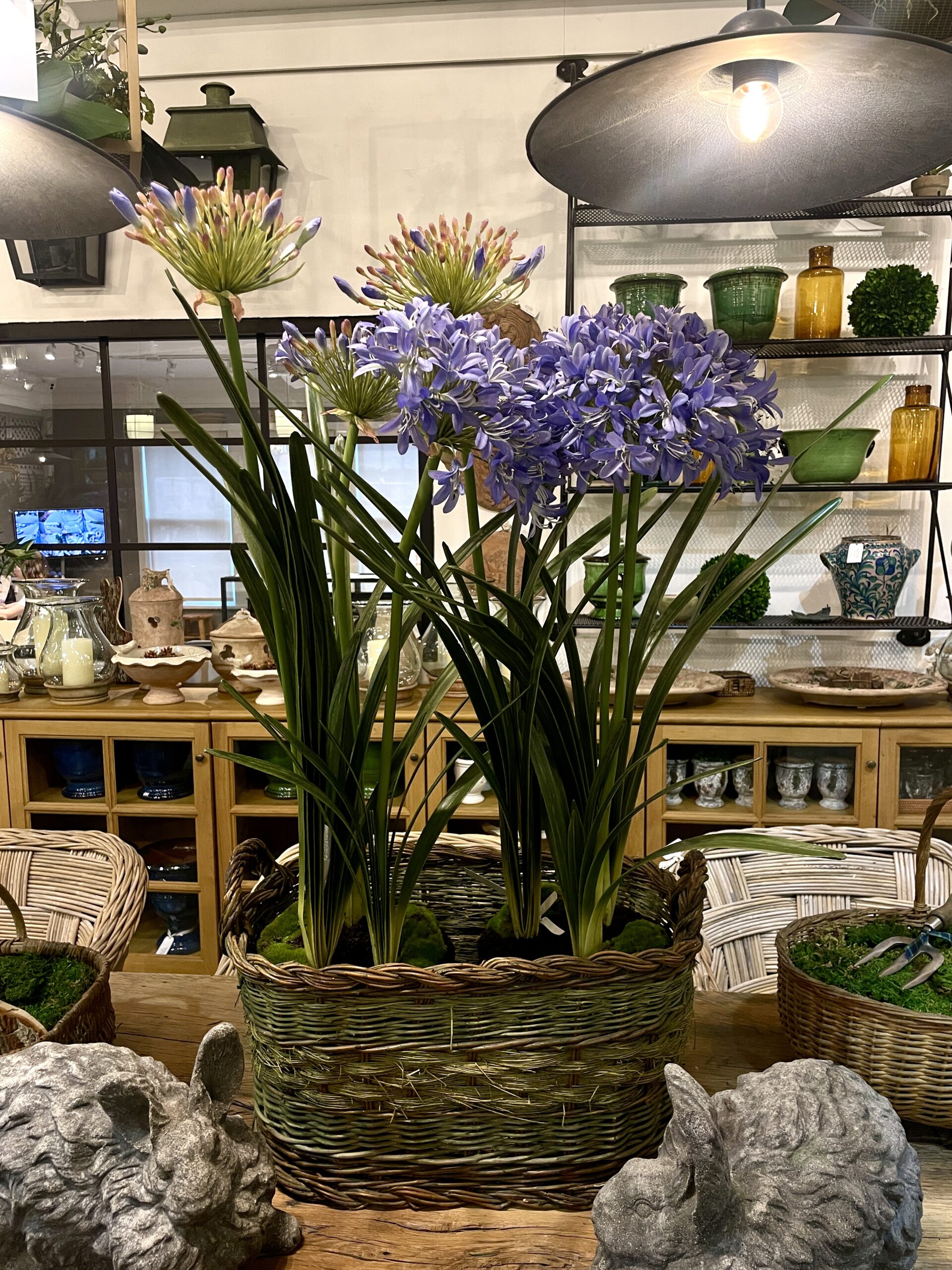 Unique vessels with flowers. 