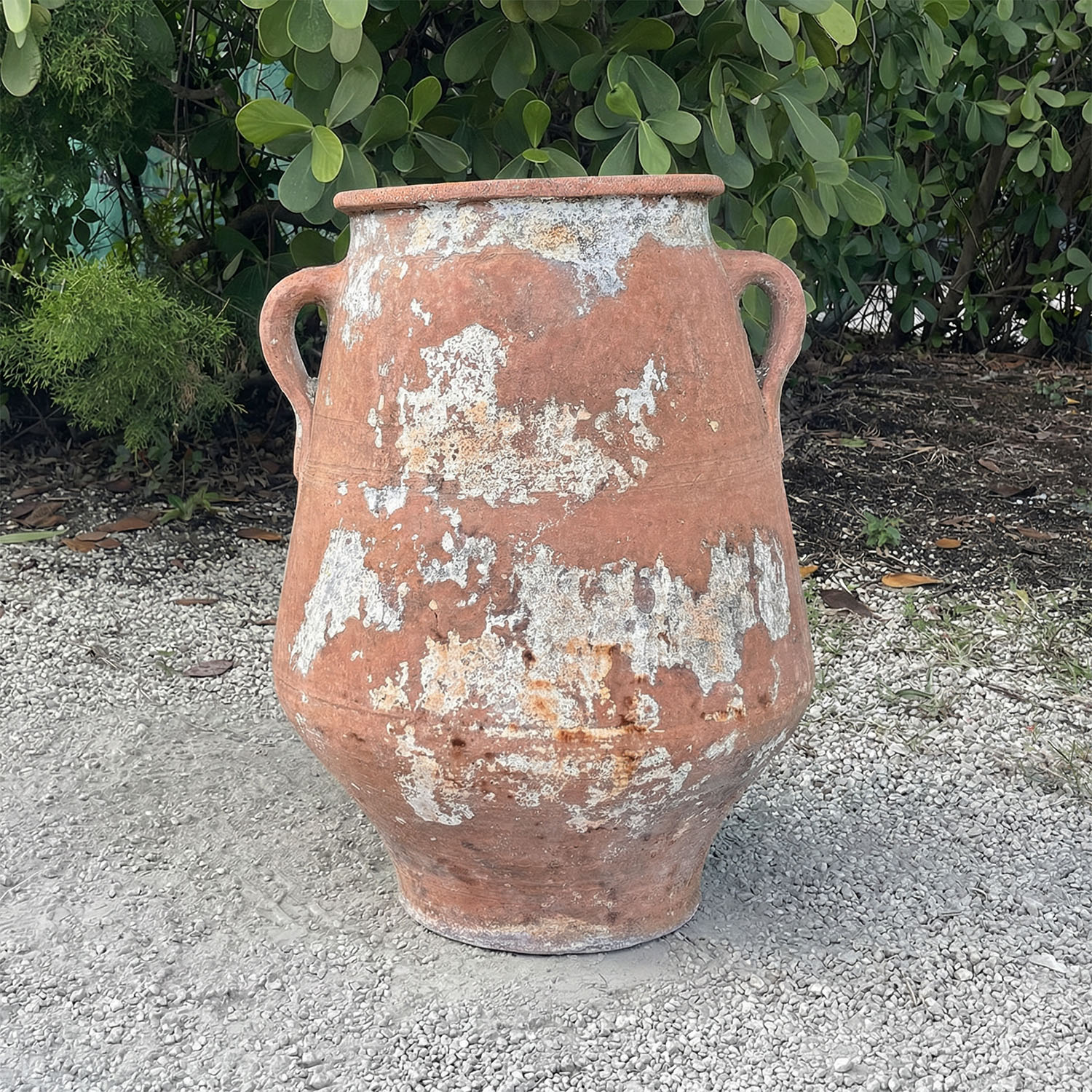 19th Century Greek Olive Oil Jar