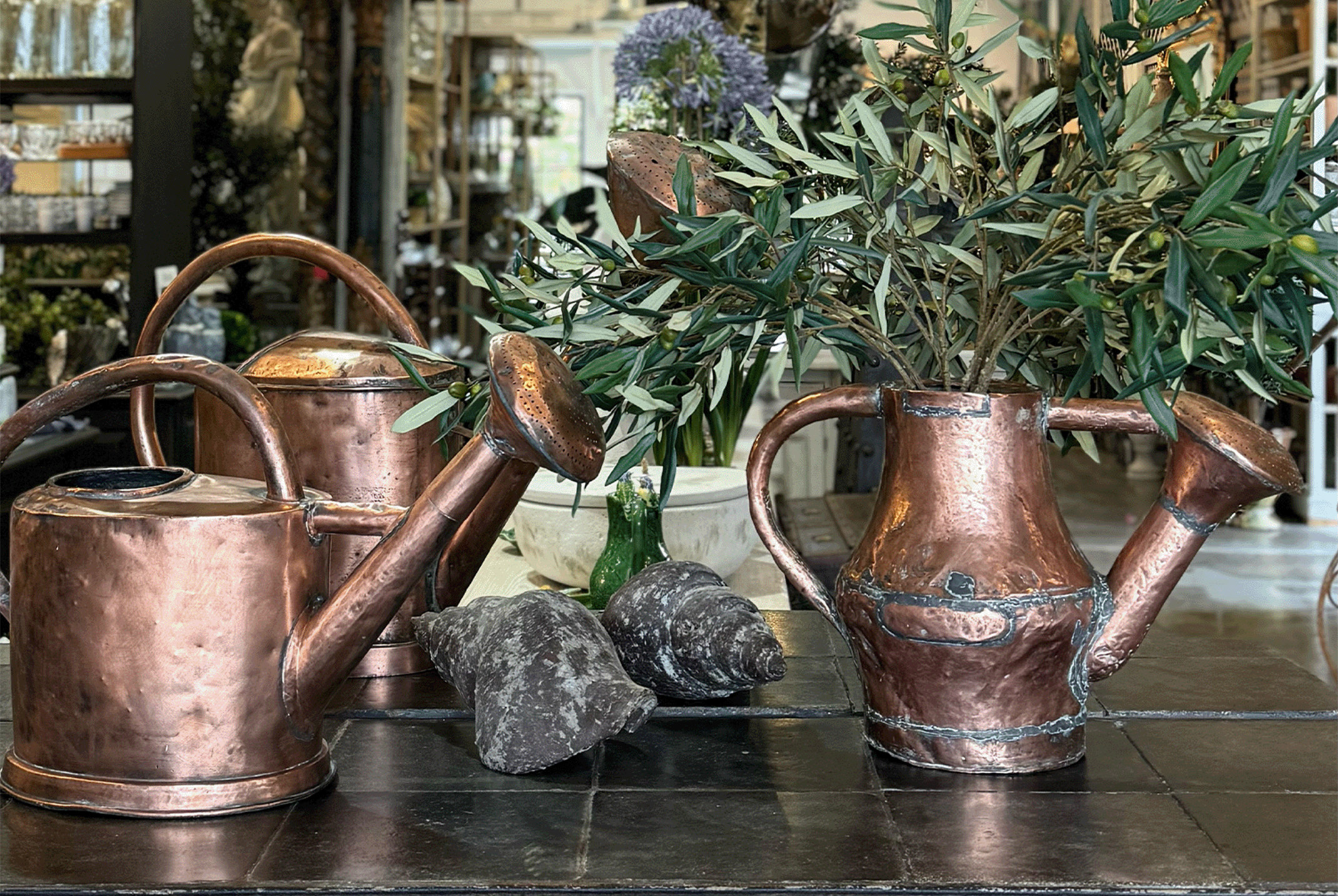 The Planter, Reconsidered