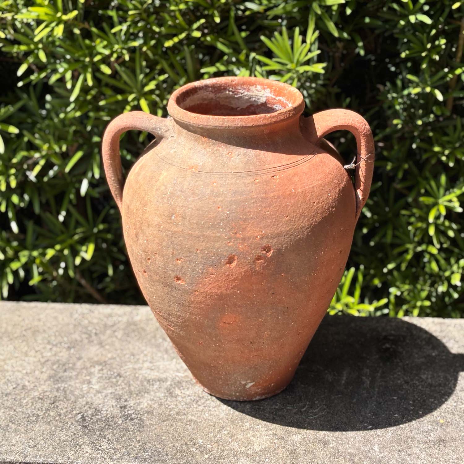 Authentic Provence