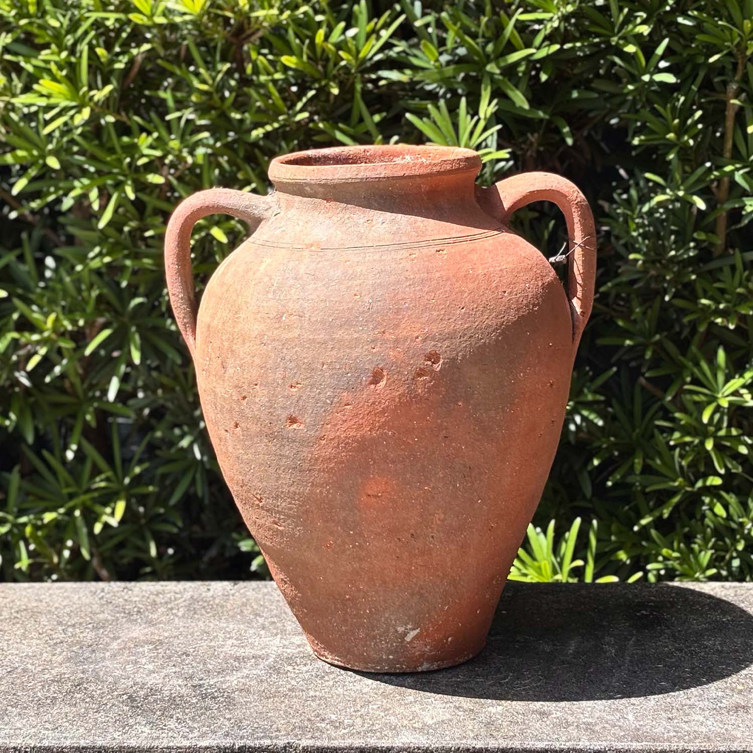 Authentic Provence