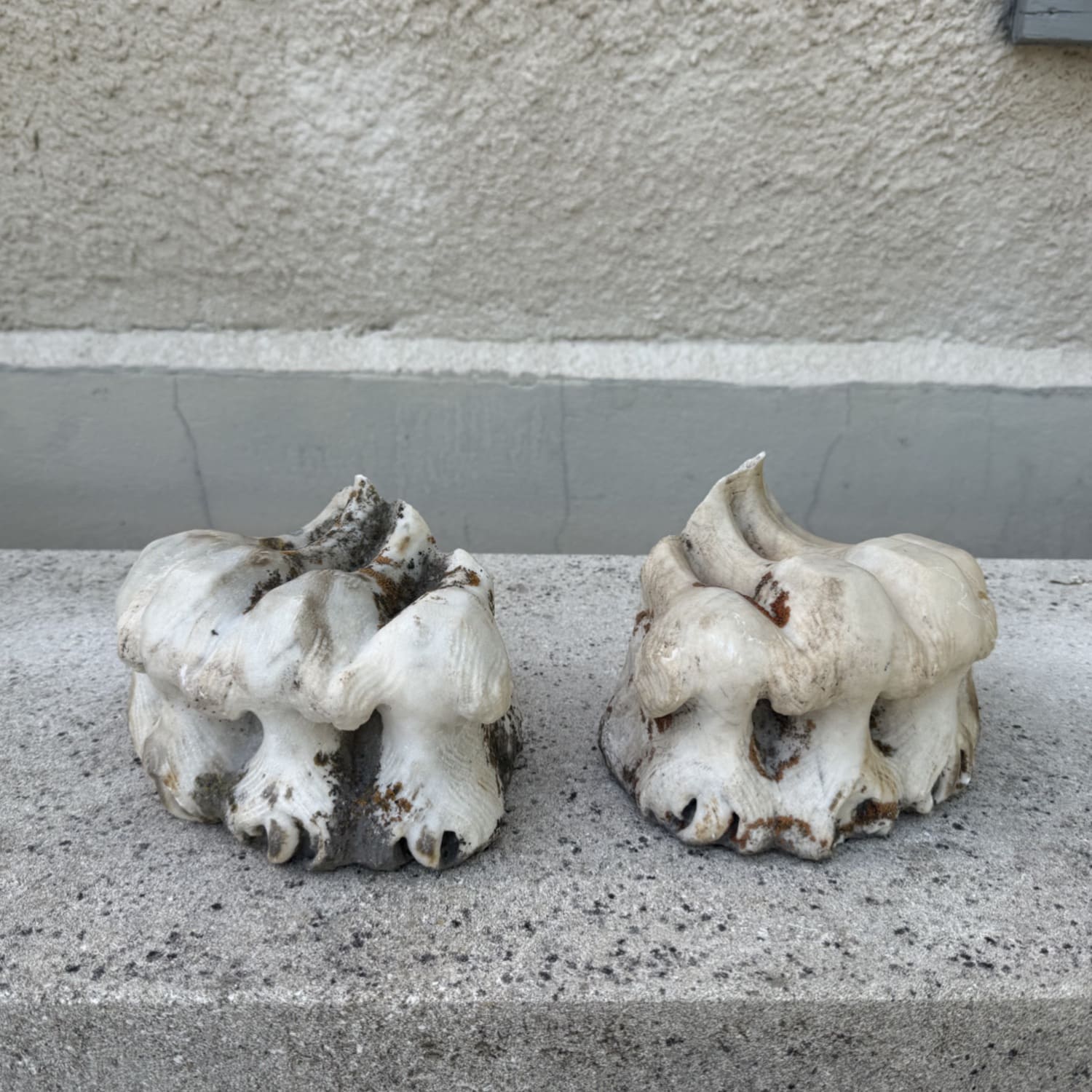 Late 18th/ 19th Century Antique Marble Stone Lion Paw Feet with Weathered Patina
