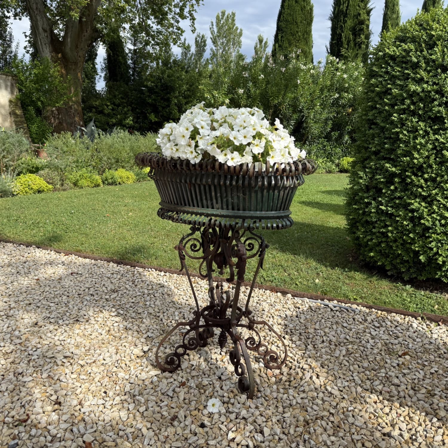 Authentic Provence