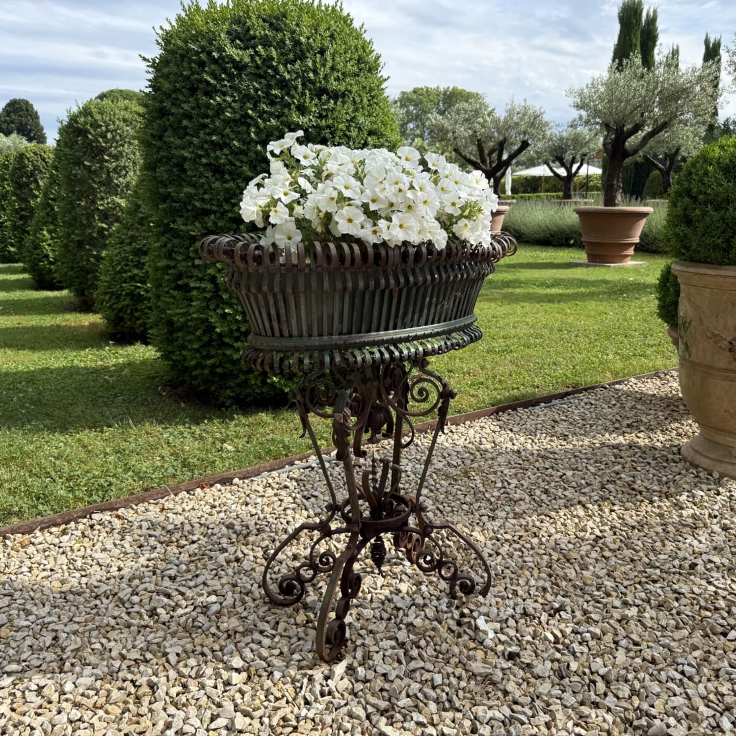 Authentic Provence