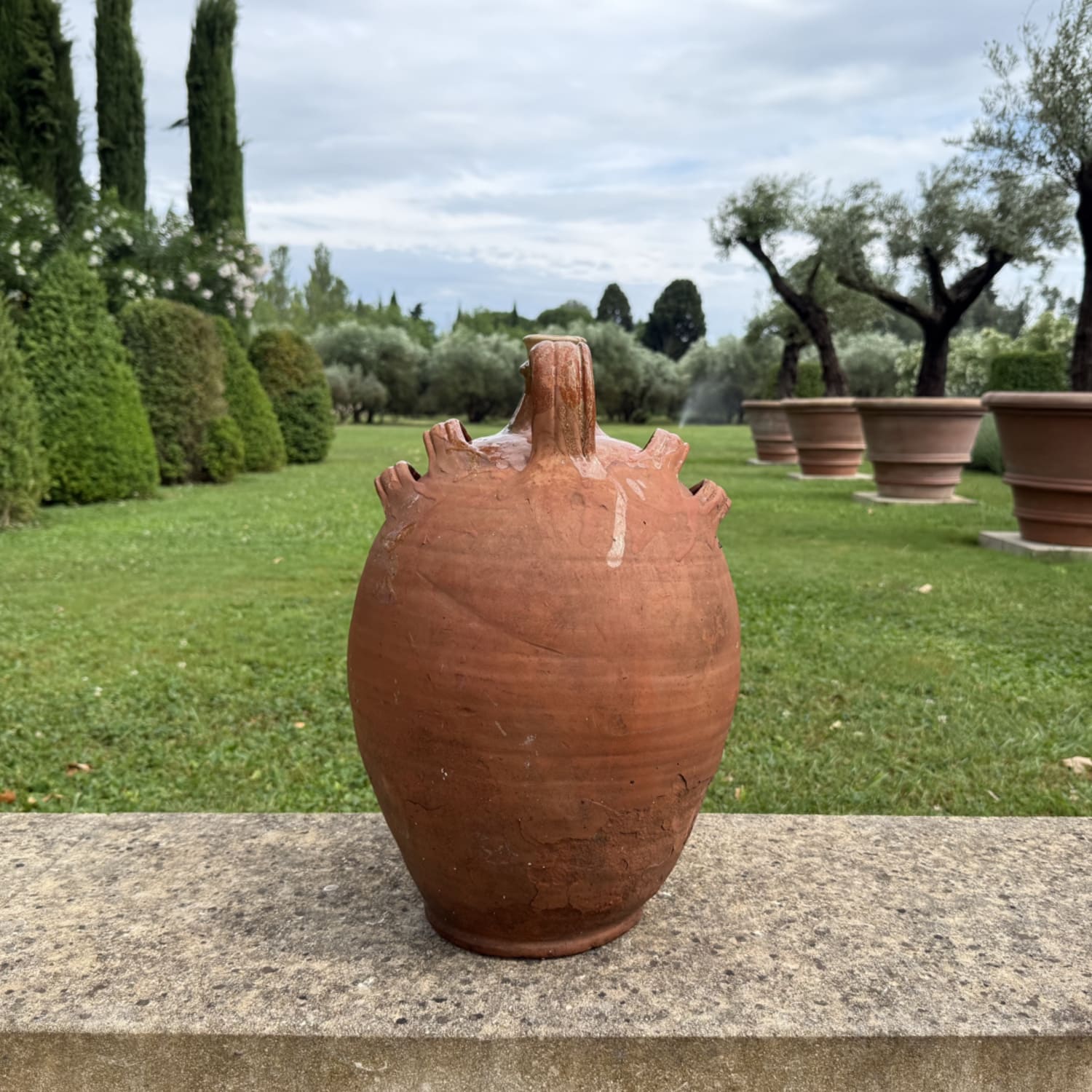 Authentic Provence