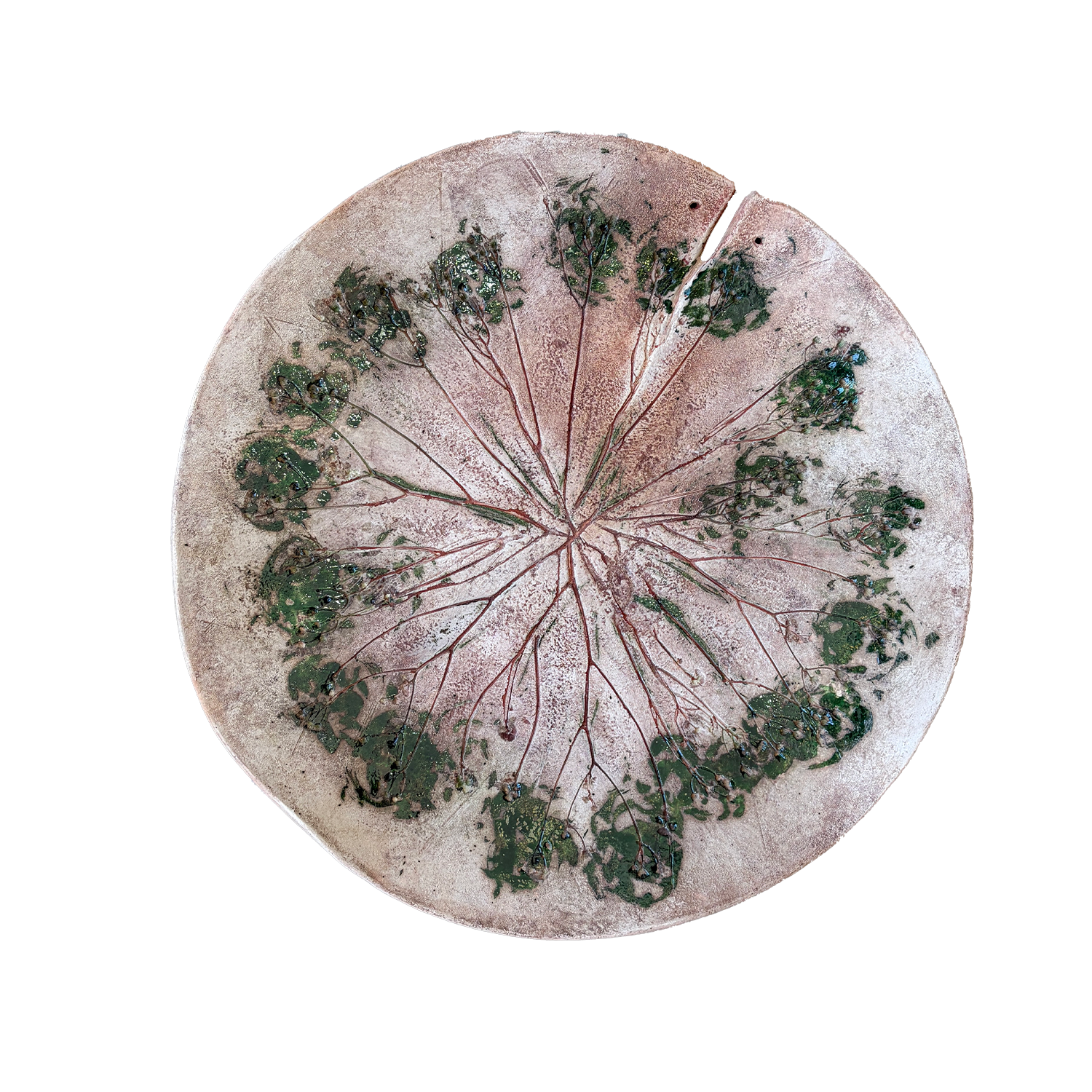 Botanical Terracotta handcrafted decorative plate, France
