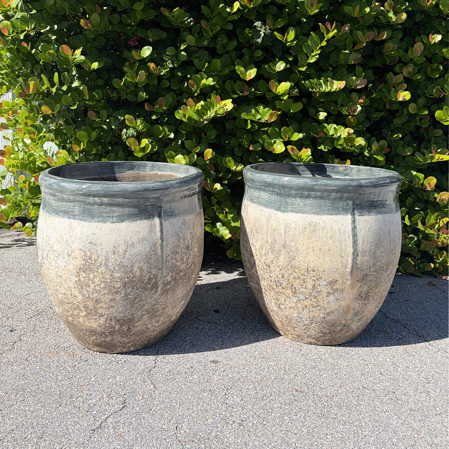 A Pair of French Garden Planter with Grey Rim from Provence