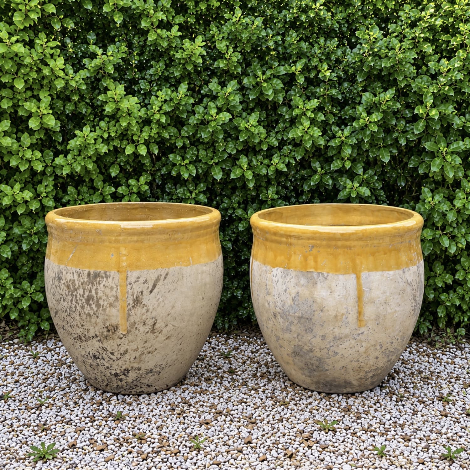 French Large Bugadier Terracotta with Yellow rim Garden Planters with weathered Patina, Pair