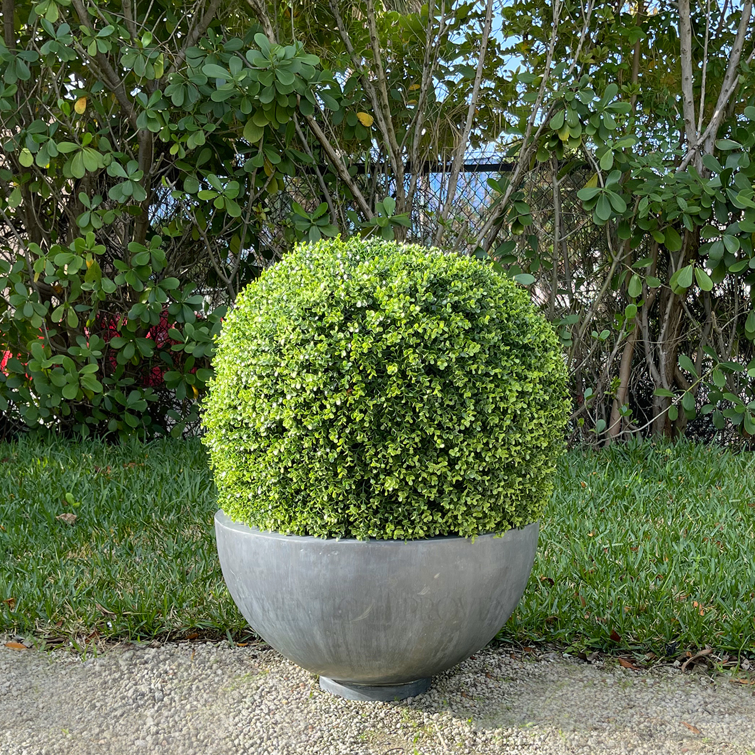 English Lead Planter